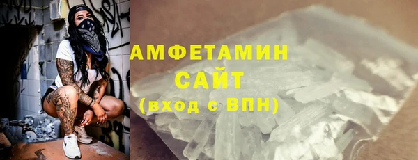 винт Лагань
