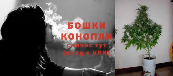 прущие грибы Лиски