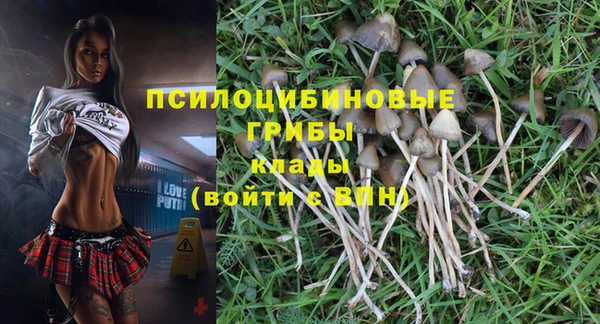 MDMA Premium VHQ Ладушкин