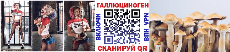Галлюциногенные грибы GOLDEN TEACHER  даркнет сайт  Малая Вишера 
